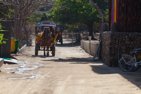 GILI, INDONESIA - SEP 21: Horses ride a carriages on small dirt road Sep 21, 2012 in Gili Trawangan island, Indonesia. There are only horse and bicycle transportation on the island.のeditorial素材