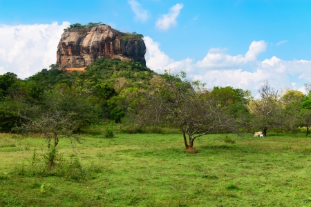 High rock under green forest. Sigiriya, Lion's rock with ancient rock fortress temple. Sri Lanka の写真素材