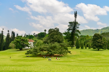 Beautiful tropical Royal Botanical Gardens, Peradeniya, Kandy, Sri Lankaのeditorial素材
