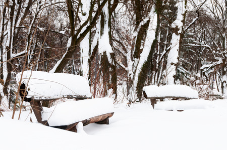 Wooden benches after snowfall in winter parkの写真素材