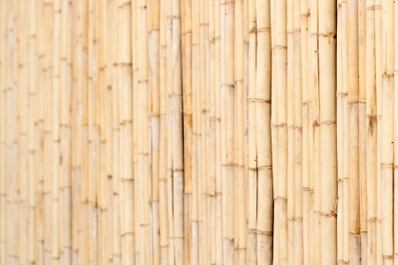 Wooden yellow bamboo fence horizontal textured wall backgroundの写真素材