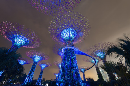 SINGAPORE - 31 DEC, 2013: Gardens by the Bay night view with amazing illumination. Supertree Grove and light show is popular Marina Bay Sands tourist attraction のeditorial素材