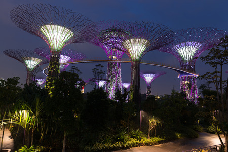 Singapore Gardens by the Bay night view with amazing illumination. のeditorial素材