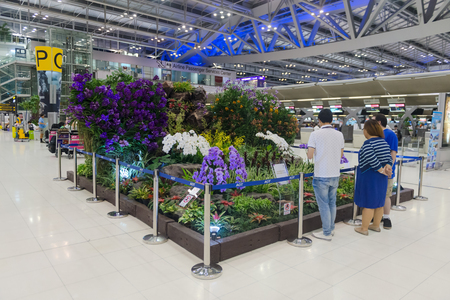BANGKOK, THAILAND - 15 JULY 2014: Beautiful, indoor garden display in the main concourse of Suvarnabhumi Airport's passenger terminal.のeditorial素材