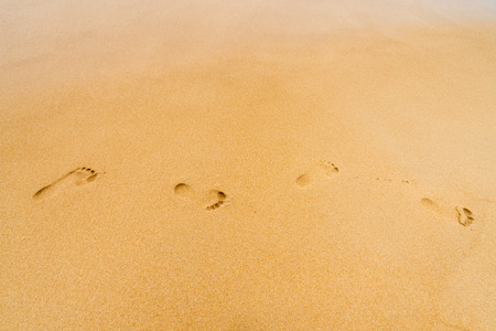 Sand clean beach background with footprints from left to rightの写真素材