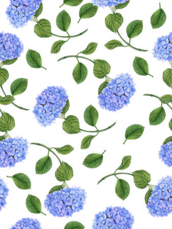 Vintage pattern with Hydrangea flowers watercolor botanicalの写真素材