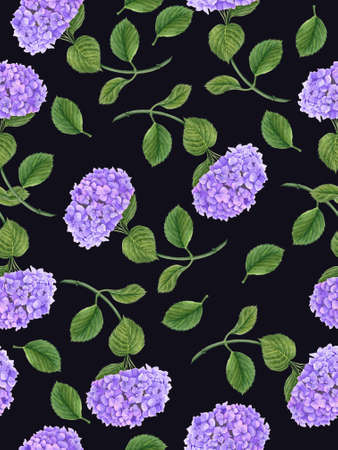 Seamless vintage pattern with Hydrangea flower watercolor illustrationの写真素材
