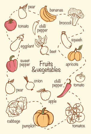 Vector fruits and vegetables vintage food illustrationのイラスト素材