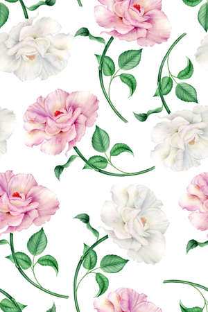 Vintage watercolor pattern with realistic white and pink rosesの写真素材