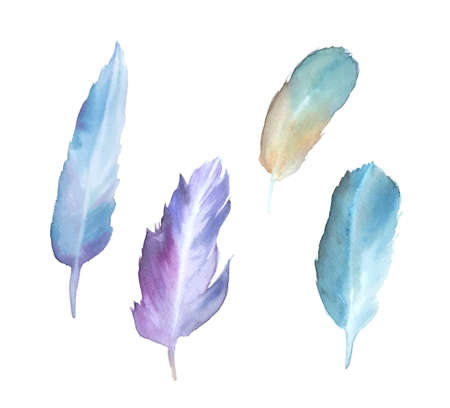 Set of colorful feathers watercolor illustrationの写真素材