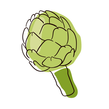 Artichoke line drawing. Flat illustration of artichoke vector icon isolated on white background.のイラスト素材