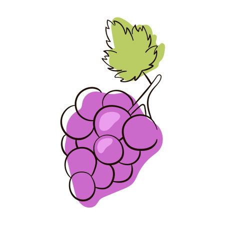 Bunch of wine grapes with leaf flat purple vector icon. Hand drawn grapes sketch. Purple grapes Vector illustration.のイラスト素材
