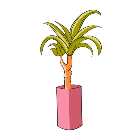 Home Dracena in a pot illustration. Flat style. Vector Dracena isolated on a white background.のイラスト素材