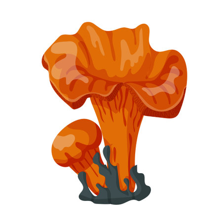 Chanterelles in moss. Chanterelles in forest. Vector illustration isolated on a white background.のイラスト素材