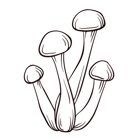 Honey agaric mushroom logo in line art style. Vector illustration isolated on a white background. Armillaria Mellea.のイラスト素材