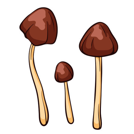 Conocybe Filaris inedible mushroom in cartoon style. Poisonous food sketch. Vector illustration isolated on a white background. Deadly fungus Pholiotina rugosa. Filaria.のイラスト素材