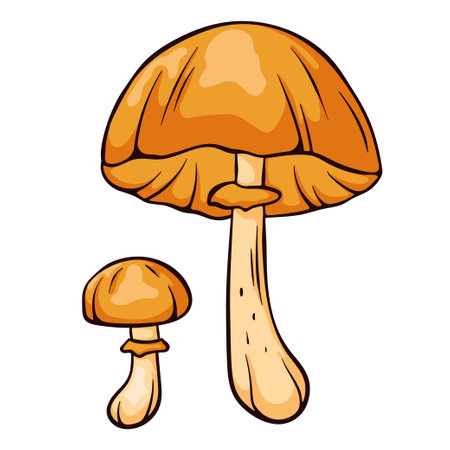 Autumn skullcap inedible mushroom in cartoon style. Poisonous plants sketch. Vector illustration isolated on a white background. Deadly fungus Galerina marginata.のイラスト素材