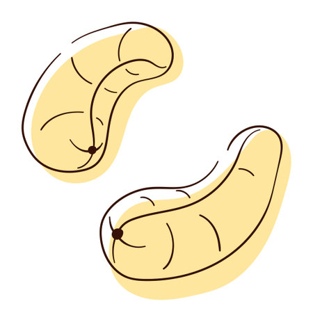 Cashew icon in line art style. Logo nut for packaging design, labels, menu, shops and cafe. Vector illustration isolated on a white background.のイラスト素材
