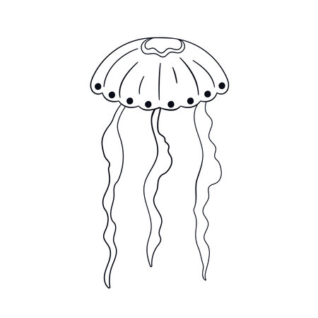 Jellyfish design in line art style. Marine underwater medusa icon symbol. Vector illustration isolated on a white background.のイラスト素材