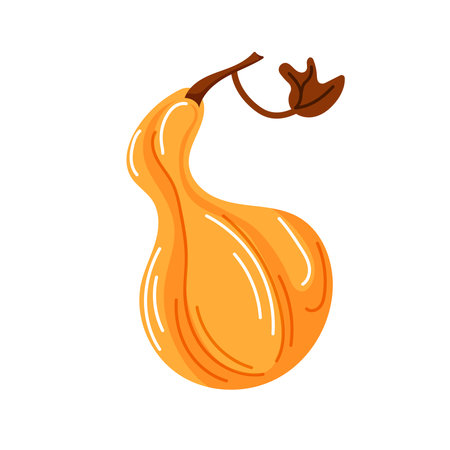 Yellow ripe pumpkin in cartoon style. Autumn design. Vector illustration isolated on a white background.のイラスト素材