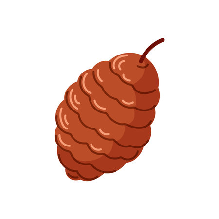 Brown pine cone logo in cartoon style. Design for Christmas decoration, nature project or holiday graphic. Isolated on a white background.のイラスト素材