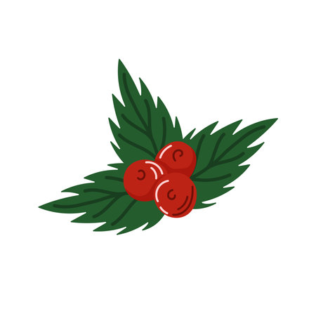 Green fir leaves with three red berries in flat style. Design for holiday and Christmas. Festive foliage can be used for seasonal decoration and winter project.のイラスト素材