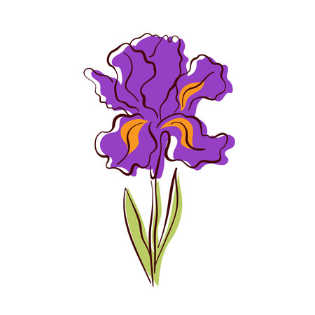 Purple iris flower with intricate petals and green leaves in flat style. Colorful hand drawn floral design for nature project, home decor and spring art.のイラスト素材