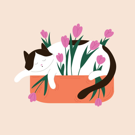 Cute sleeping tuxedo cat in a planter filled with blooming tulips in flat style. Perfect for spring design, calendar, postcard. Isolated on a beige background.のイラスト素材