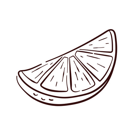 Lemon slice in line art style. Simple and elegant citrus fruit illustration, perfect for botanical, culinary and decorative design. Isolated on a white background.のイラスト素材