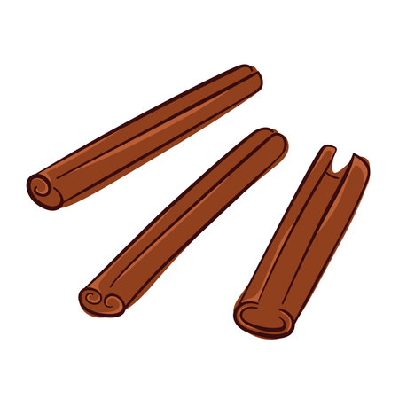 Cinnamon sticks set in flat style isolated on a white background.のイラスト素材