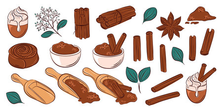 Cinnamon spice collection with stick, powder scoop, flower, roll and leaf in flat style. Perfect for recipe design, package, kitchen decor and culinary project.のイラスト素材