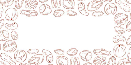 Border frame with nut, almond, cashew, peanut, walnut, hazelnut and pecan in line art style. Design for grocery store package with empty center space.のイラスト素材