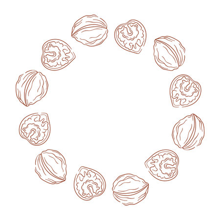 Circular wreath with walnut and kernel on a white background in a line art style.のイラスト素材