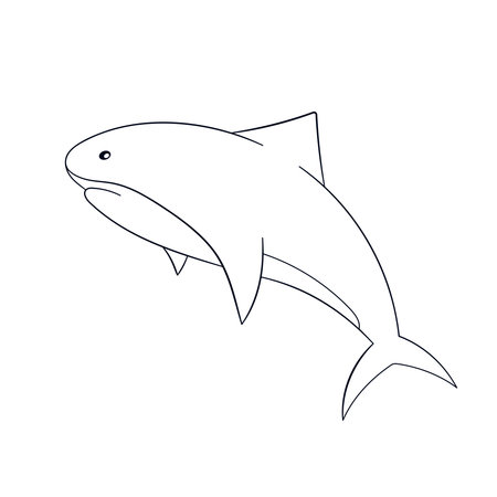 Shark in line art style isolated on a white background.のイラスト素材
