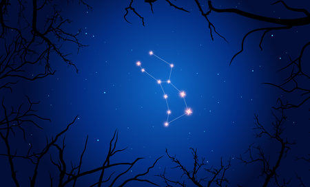 Vector illustration of constellation Lupus on the background of a starry sky and tree branches. Constellation scheme collectionのイラスト素材