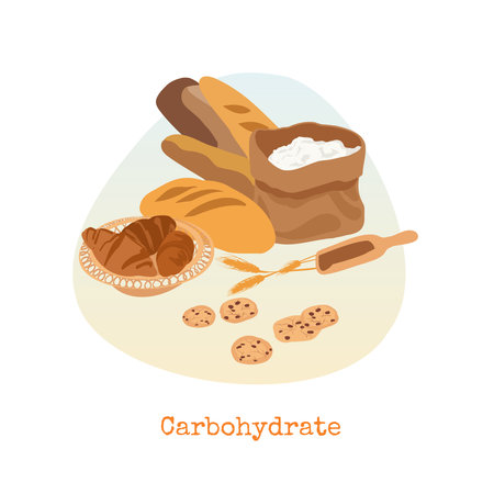 Set of Carbohydrate food. Cartoon flat vector illustration of bread, baguette, croissant, cookies, bag of flour. Healthy food, diet concept.のイラスト素材