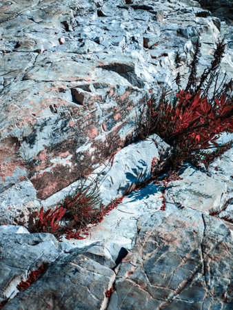 A close up of a rocky background, rough textureの写真素材