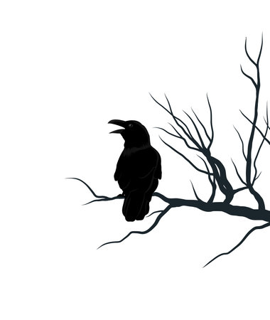 Black crow on brunch of tree. Silhouette of ravenのイラスト素材