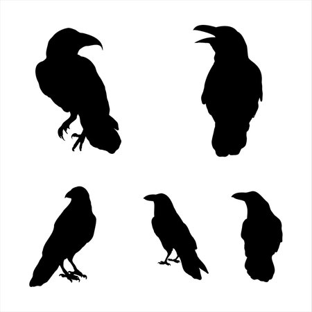 Set of crows, silhouette designs for halloweenのイラスト素材