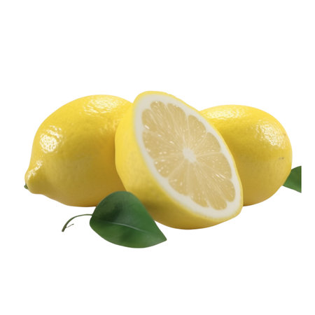 Lemon slieses, Generated Aiの素材