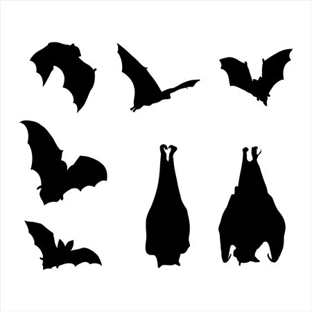 Bats silhouette collection, Halloweenのイラスト素材
