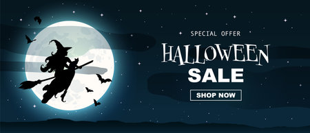 Witch flying on a broomstick across full moon.Saleのイラスト素材