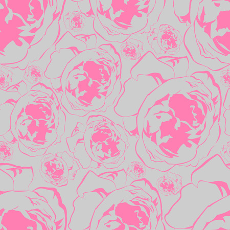 Pink peonies on a gray background in different sizesのイラスト素材