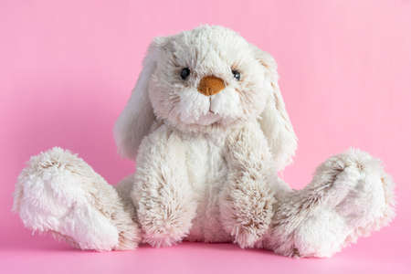 Stuffed bunny on pink background. Easter concept. Cute toy bunny sitting on colored background.の写真素材