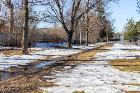 Early spring in the park with dirty melting snow on the ground. Flooding during springtime.の写真素材