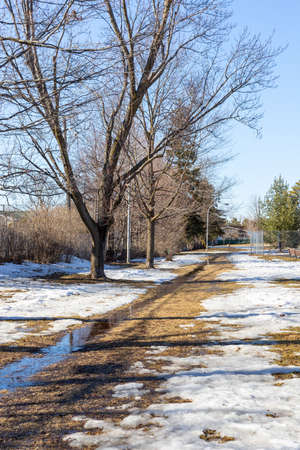 Early spring in the park with dirty melting snow on the ground. Flooding during springtime.の写真素材