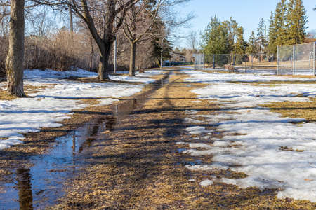 Early spring in the park with dirty melting snow on the ground. Flooding during springtime.の写真素材