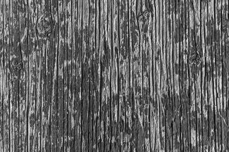 Old wooden background textured surface with peeling black paint. Abstract black and white textureの写真素材