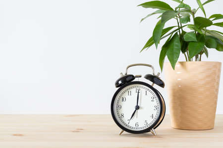 Classic vintage black alarm clock and potted green plant on wooden table with white wall background and copy space for text. Time concept.の写真素材