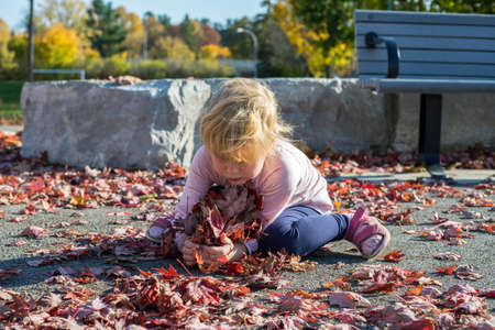 Child playing with leaves in autumn during warm bright sunny day in the public local park.の写真素材
